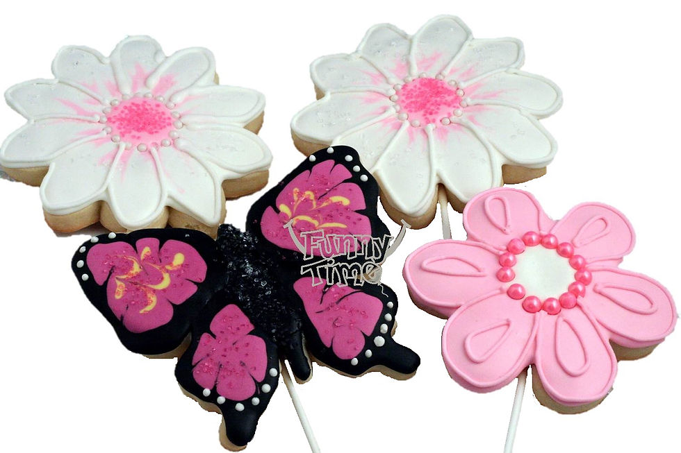 Galletas naturaleza vainilla