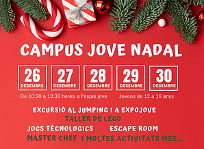 CARTEL CAMPUS JOVE EL PUIG.png