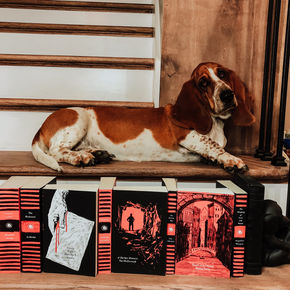 Harper Perennial Olive Editions 2019