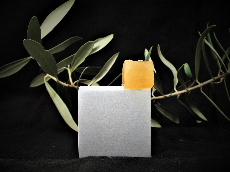 Curso  Fermentados Online_Receta de Kombucha "gominola y aceite de oliva" 