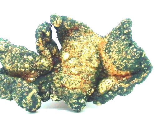 Receta Fósil de gallo