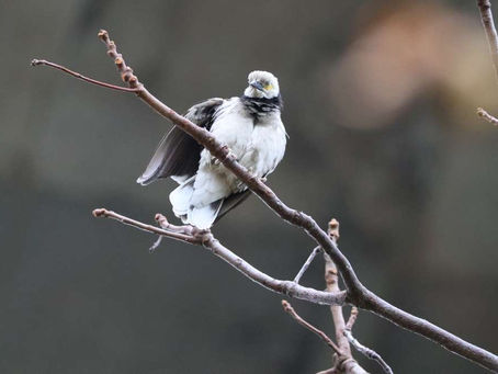 為何要活着?🤕🤒💊💉🥵😵‍💫     ✝️🕊🌈🦋💖💡