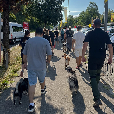Lernspaziergang.png