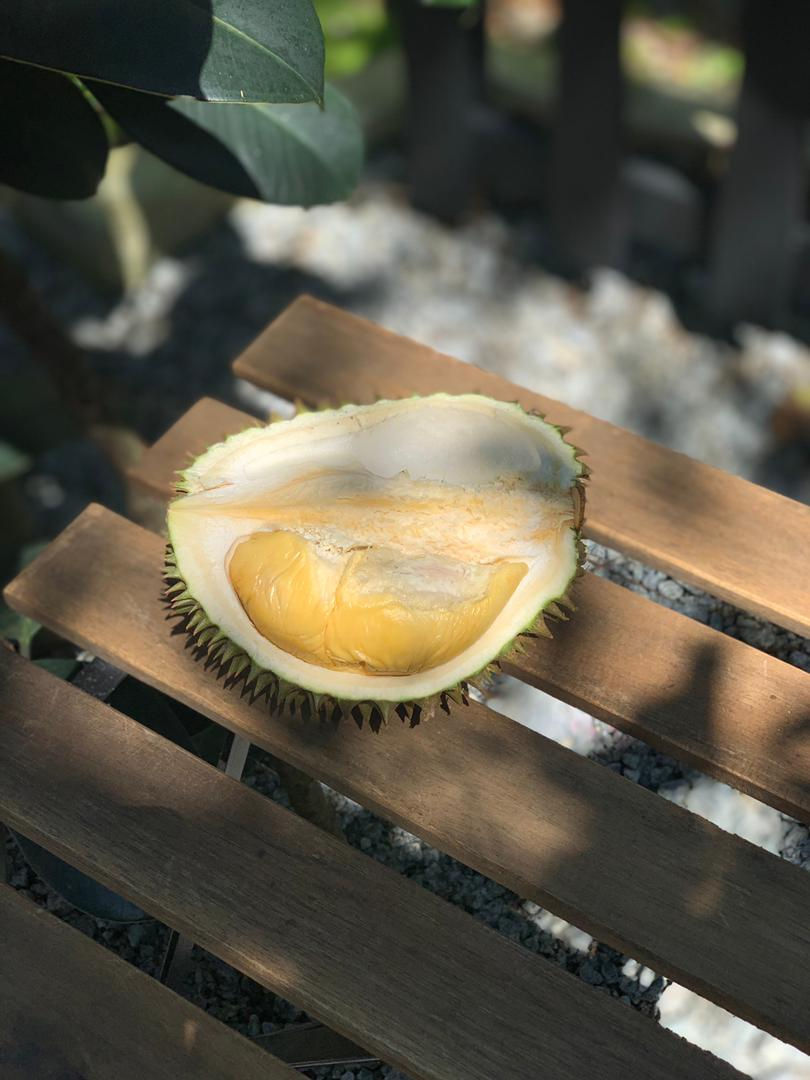 OrchardHill_Durian