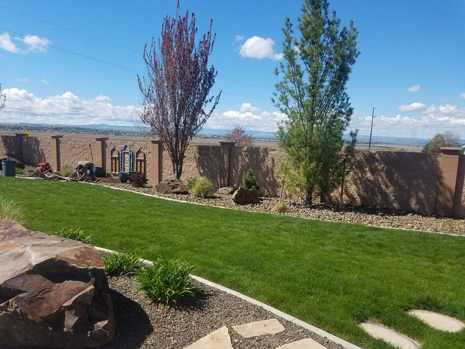 GRASS.jpg