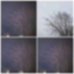 DC9A4766-1CF4-41E3-86D8-299ED2038D02.jpeg