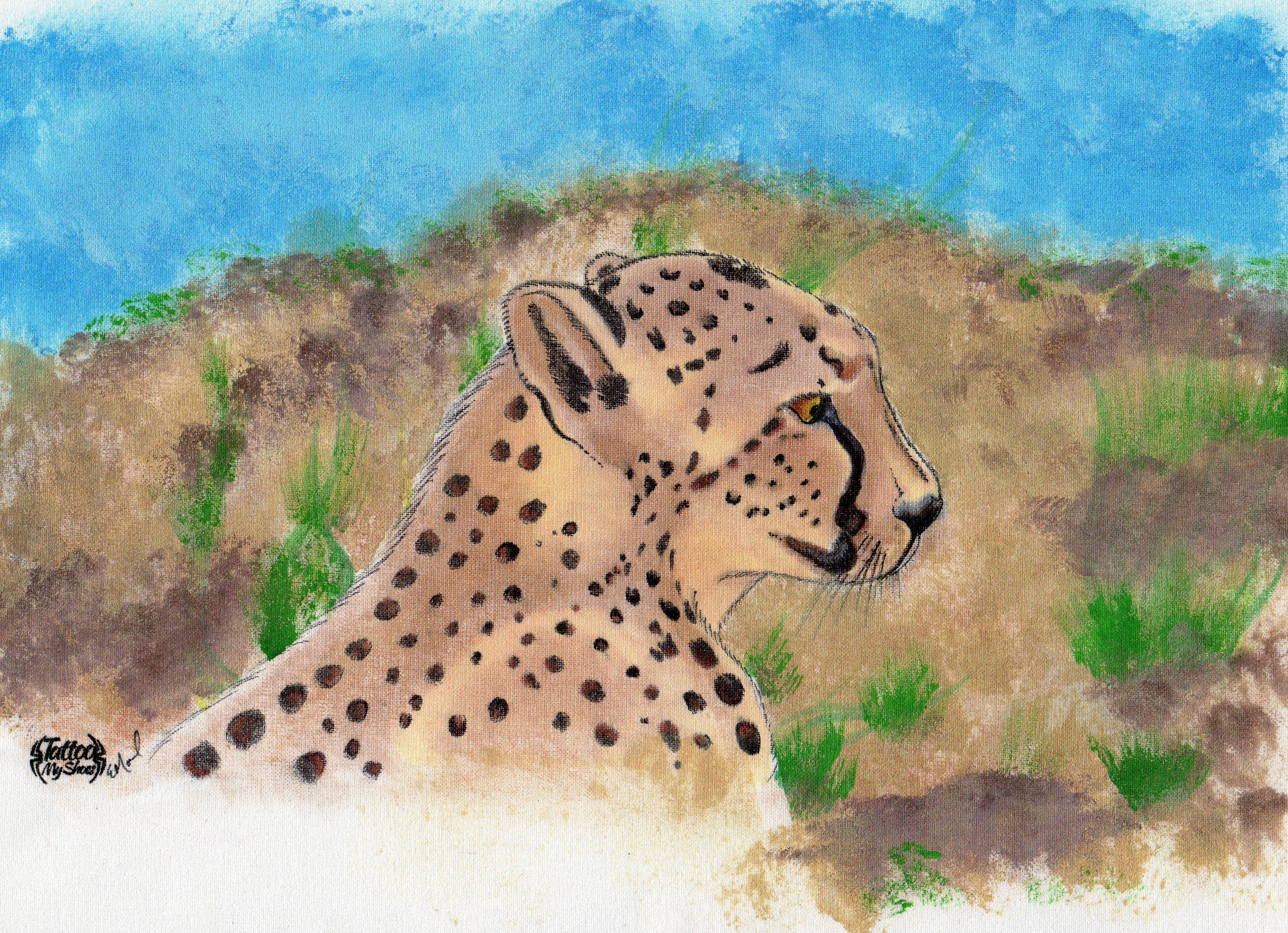 Cheetah in the Grass
