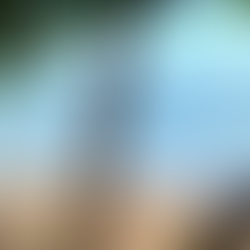 À  l'ombre des arbres .. 🌳