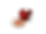 Stamp.png