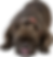 onionoutline2_edited.png