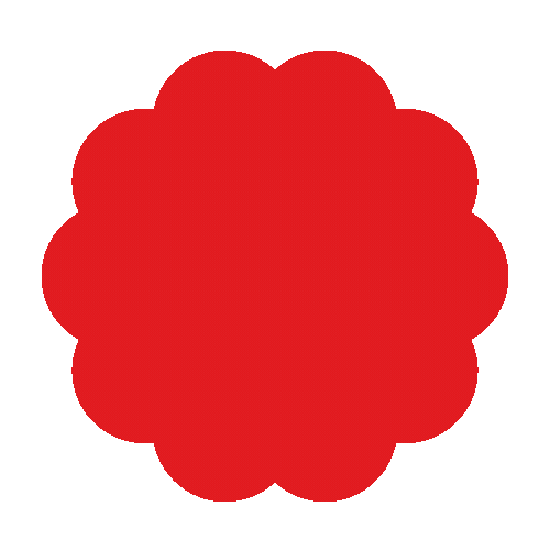 Red Verified Checkmark Icon