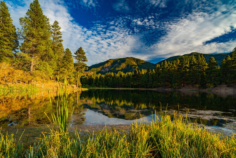 Pine Valley Heritage Day 2026