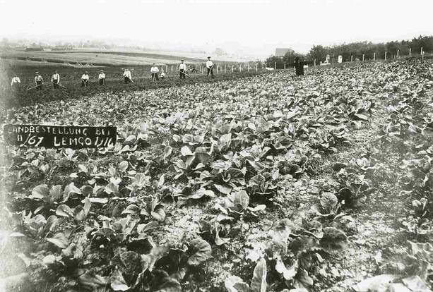 Soldaten auf dem Kohlfeld.jpg