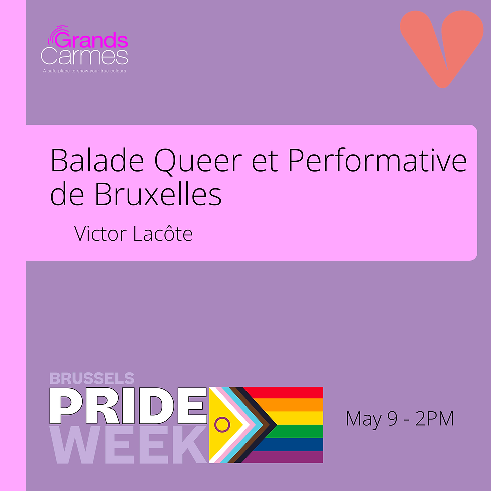 Ballade Queer et Performative de Bruxelles