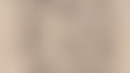 La Confessione di Fede Belga