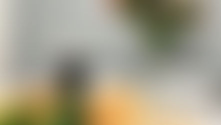 Fatti sulla Pasqua nella Scrittura