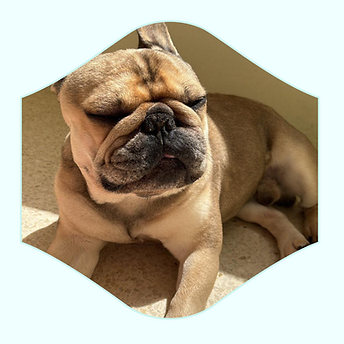 Untitled design (2).png