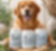 pawtese_resized_edited.jpg