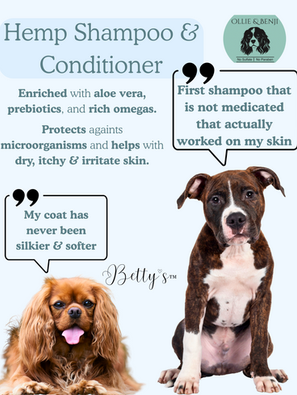 Why Ollie & Benji’s Hemp Shampoo and Conditioner Is a Game-Changer for Your Dog’s Skin & Coat 🐾