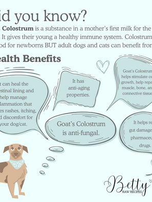 Colostrum 