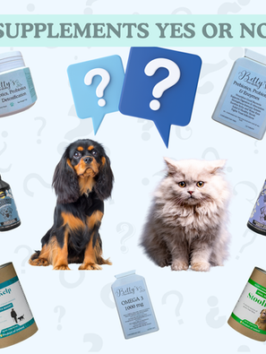 Exploring Pet Supplements Part1: Understanding the Individual Needs of Your Furry Friends