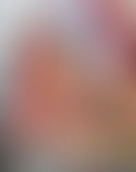 贊助大坑舞火龍活動