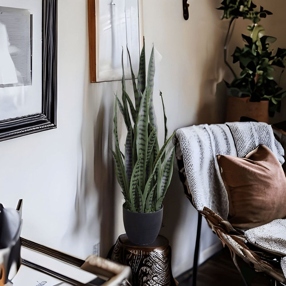 Thumbnail: Artificial Snake Plant Sansevieria UV Resistant 90cm