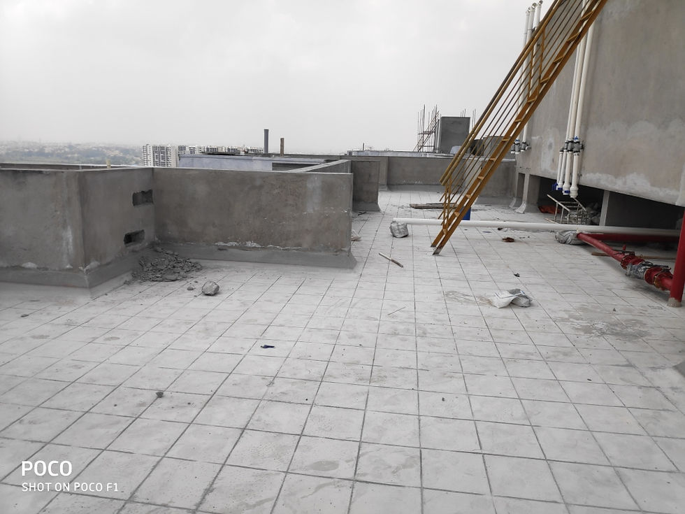 IMG_20191011_122024_1