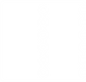 Icon Perforation
