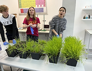 MicrosoftTeams-image (35).png