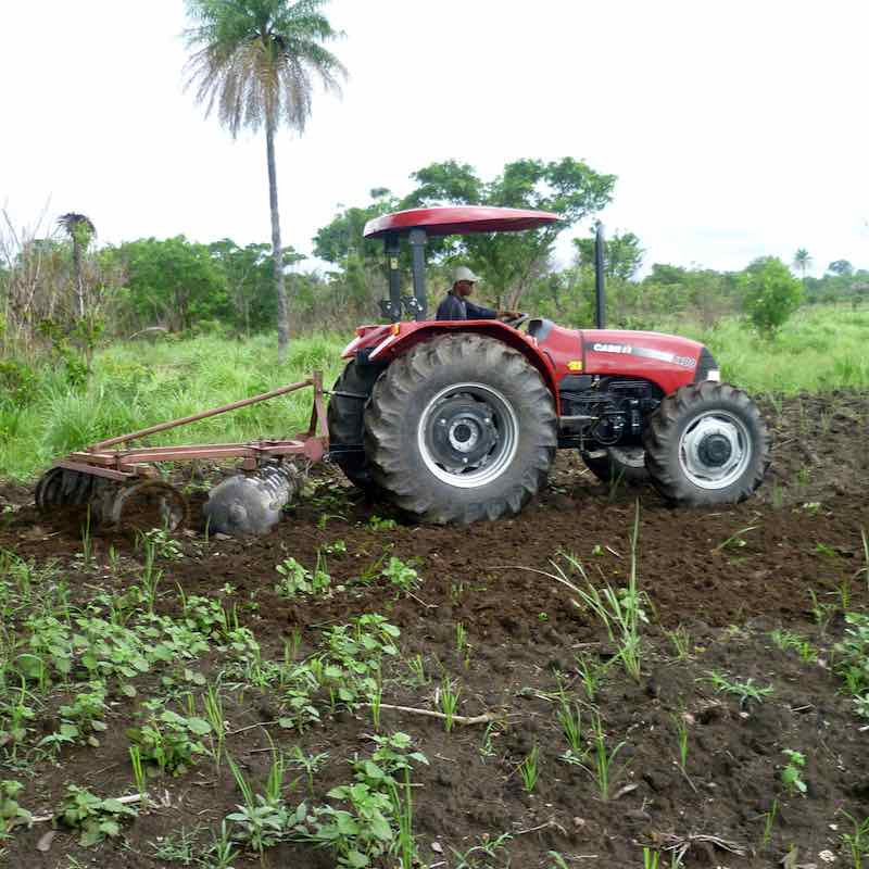 Sunbird Bioenergy village vegetable garden