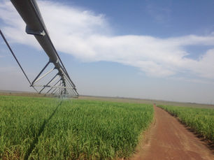 AOG transfers ownership of pioneering bioethanol and green electricity operation in Sierra Leone