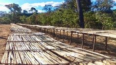 Cassava Chip Drying Trestles
