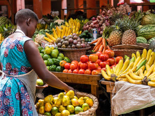 The Case For Ethanol Cookstoves in Africa