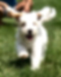 lucky1.jpeg