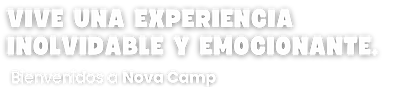 Texto de Bienvenida