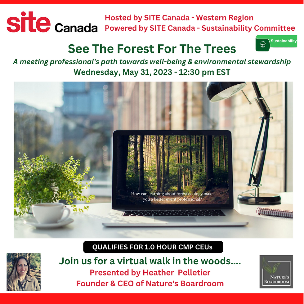 See the Forest For the Trees