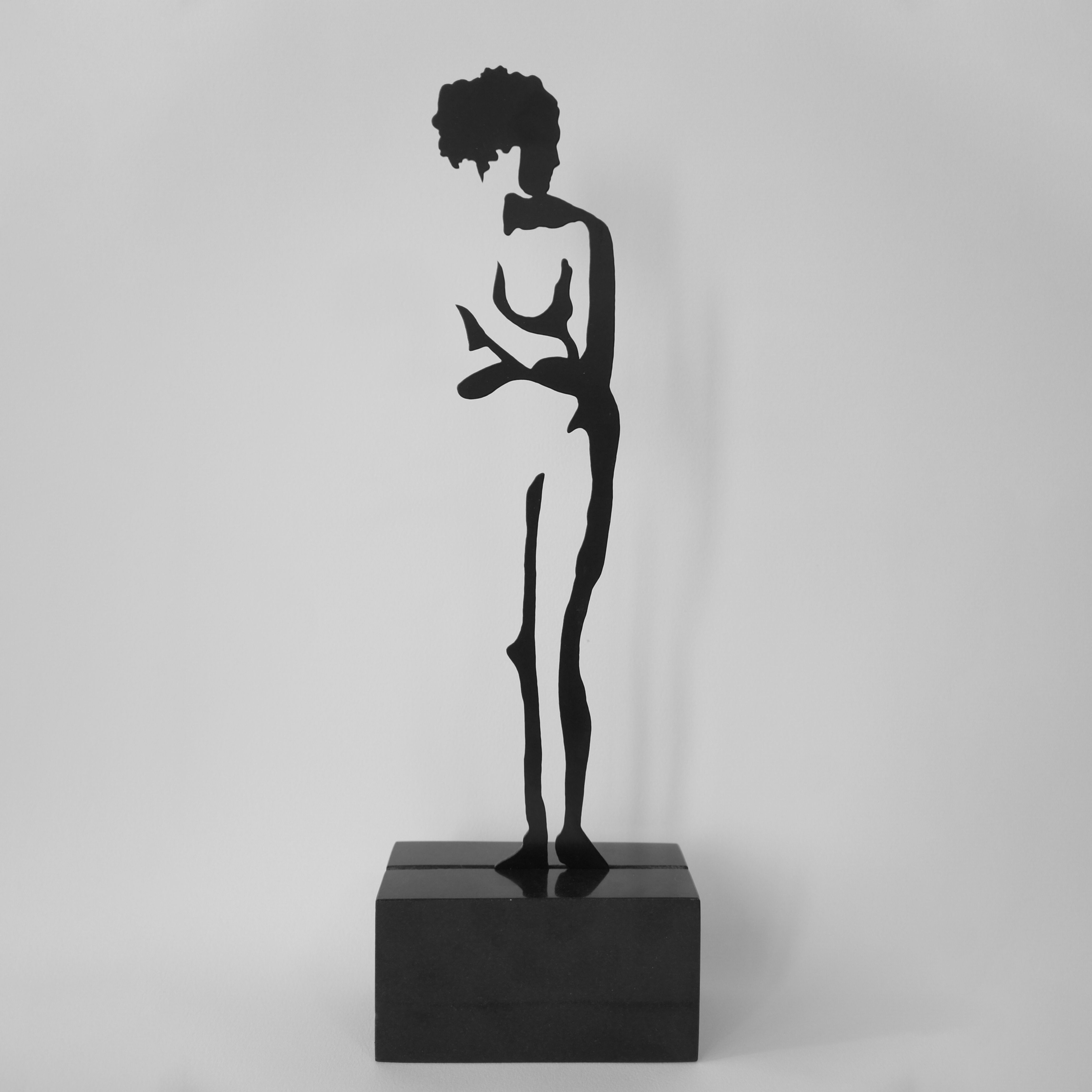 Shadow 12 Maquette