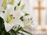 Memorial Mass: Miscarriage, Stillborn & Infant Loss - 10/2 @ St. Albert the Great