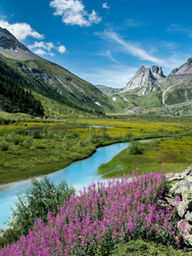 Kashmir Trip Itinerary