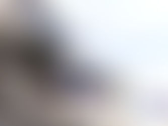 L'UNM accueille le mini transat vainqueur de l' épreuve 2019