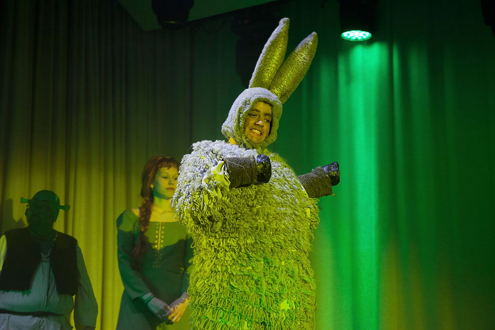 shrek_duloc005_1.jpg