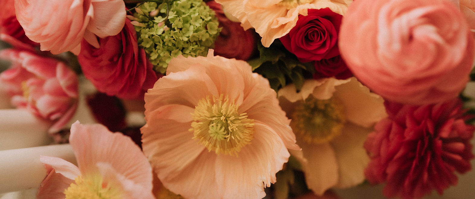 Flowers border no2.jpg