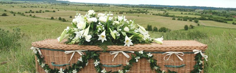 willow-coffin-overlooking-levels.jpg