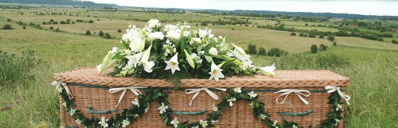 willow-coffin-overlooking-levels.jpg