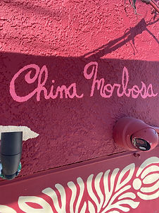 TACOLINA DETAILS 6.jpeg