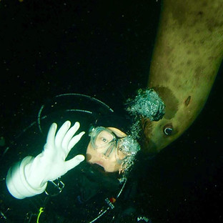 Jude with sealion.jpg