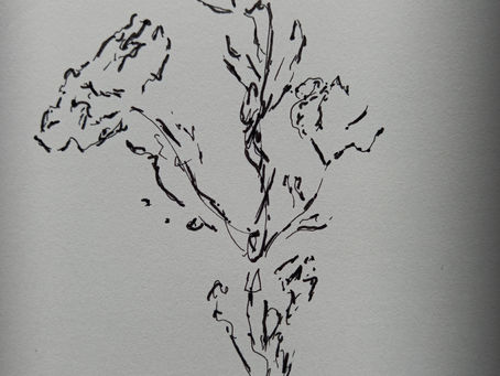 Atelier de saison : L'inattendu !