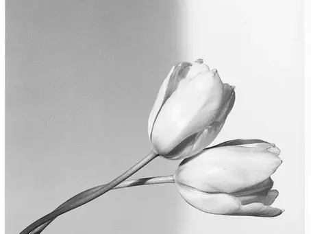 Atelier de saison : On ne peut pas tirer sur la fleur pour la faire pousser plus vite