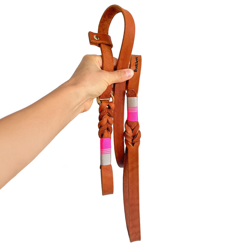 Miniaturbild: Retrieverleine aus Leder in Cognac mit einer Umwicklung in Neonpink und Creme